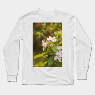 ebs apricot blossoms Long Sleeve T-Shirt